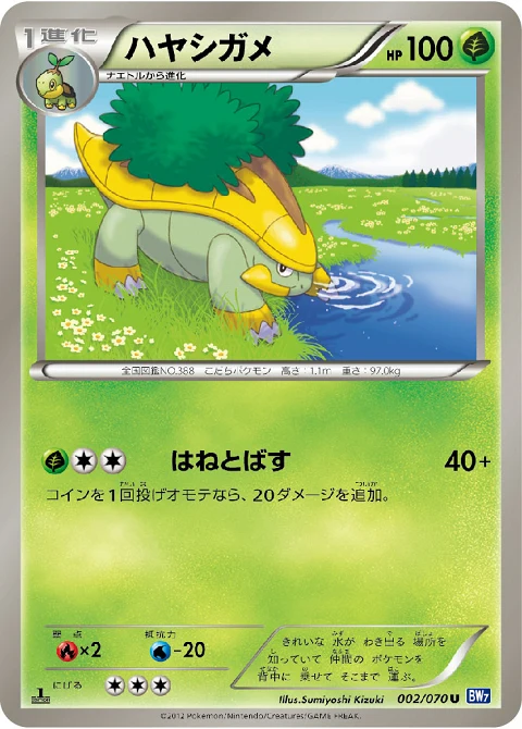 ハヤシガメ