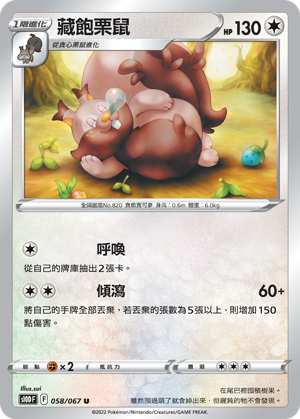 藏飽栗鼠
