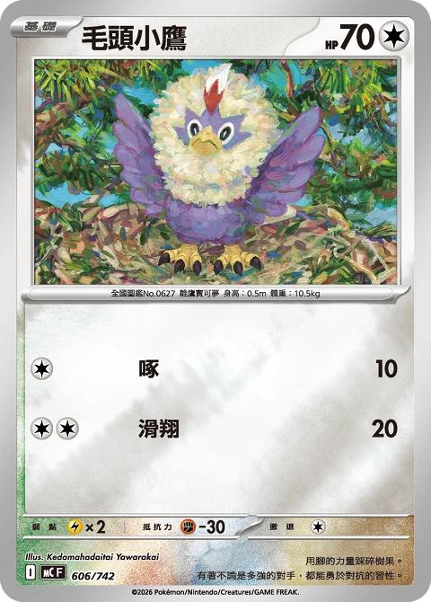 毛頭小鷹