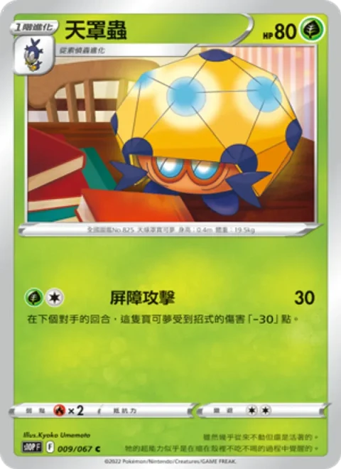 天罩蟲