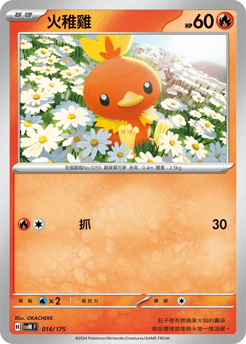 火稚雞
