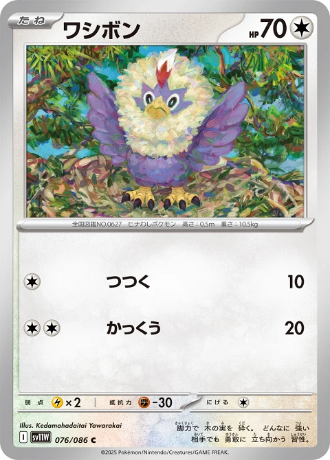 ワシボン