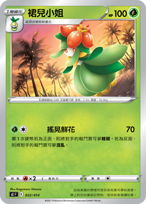 裙兒小姐