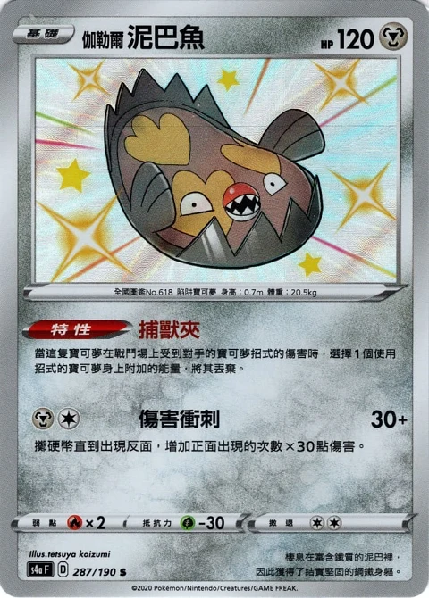 伽勒爾 泥巴魚