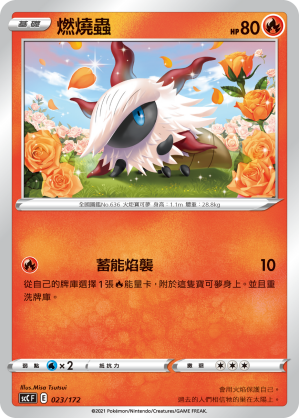 燃燒蟲