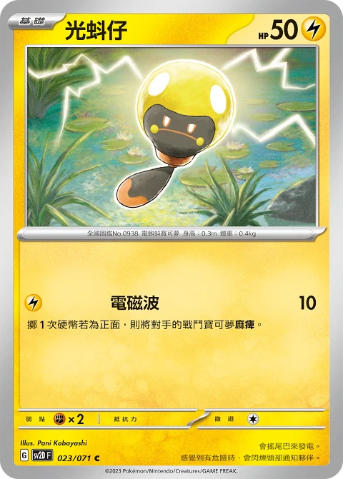 光蚪仔