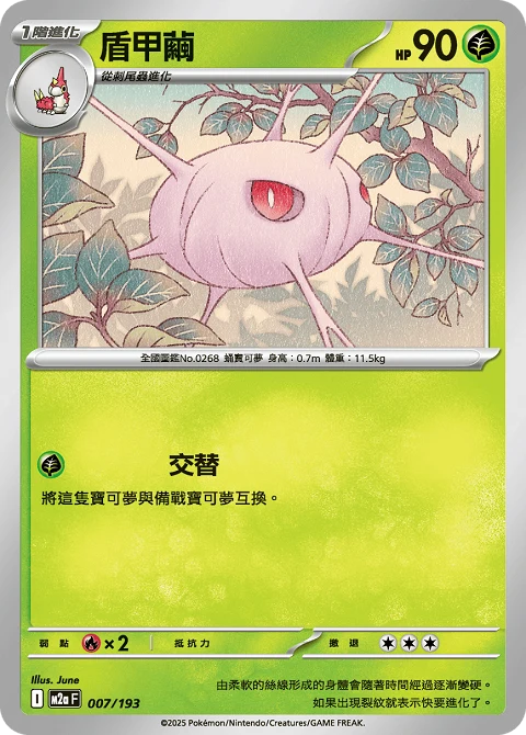 盾甲繭