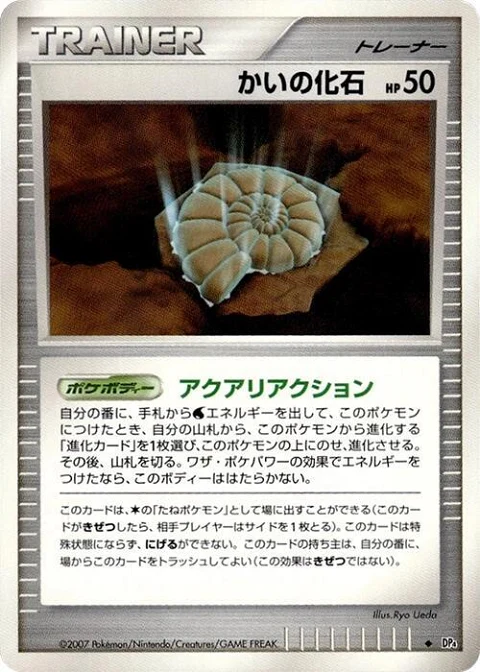 かいの化石