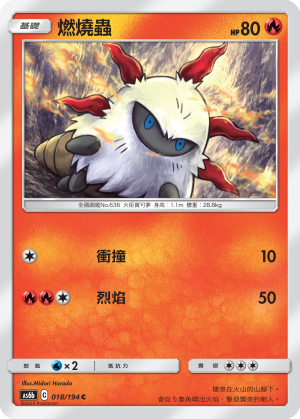 燃燒蟲