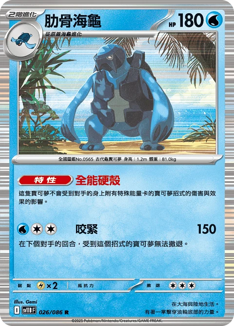 肋骨海龜