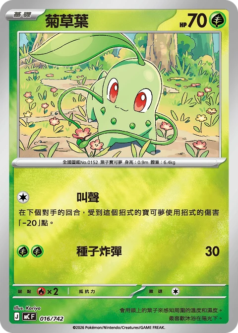 菊草葉