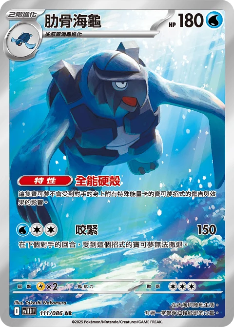 肋骨海龜