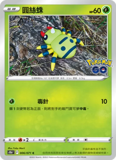 圓絲蛛