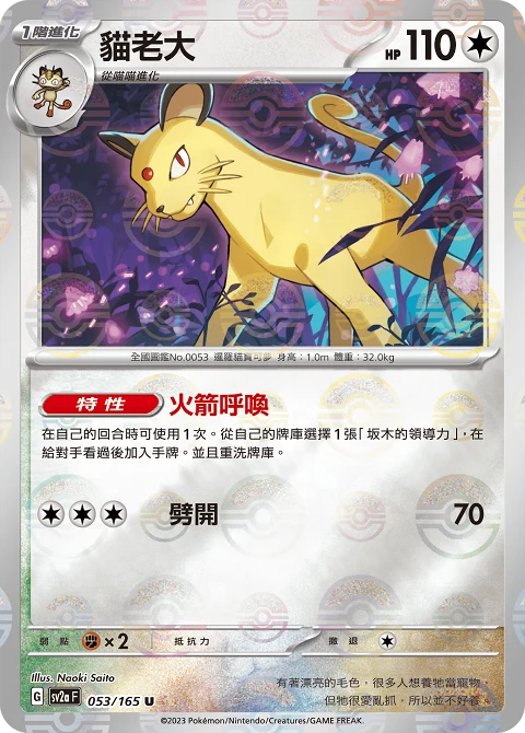 貓老大