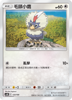 毛頭小鷹