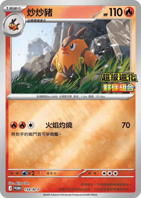 炒炒豬
