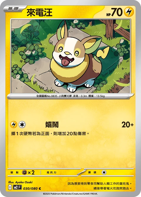 來電汪