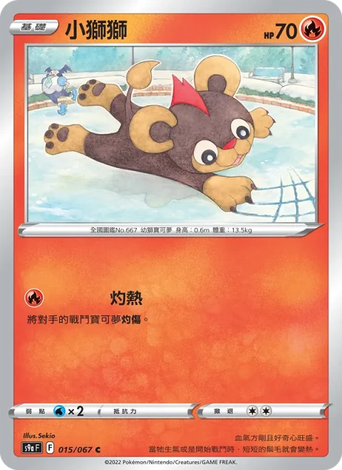 小獅獅