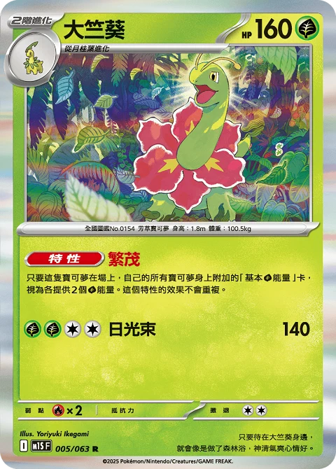 大竺葵
