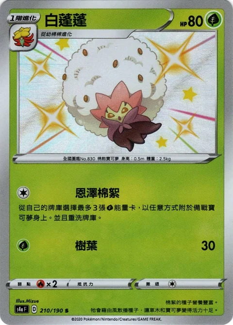 白蓬蓬