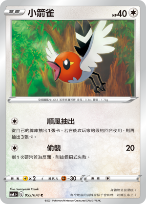 小箭雀