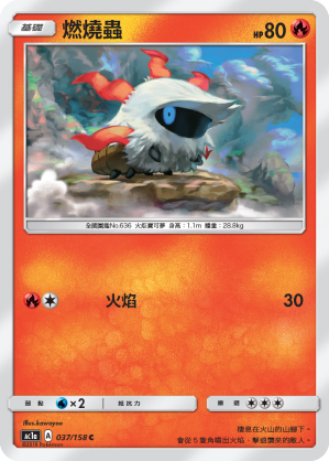 燃燒蟲