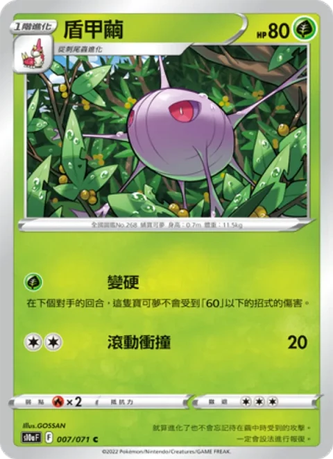 盾甲繭