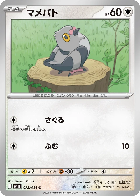 マメパト