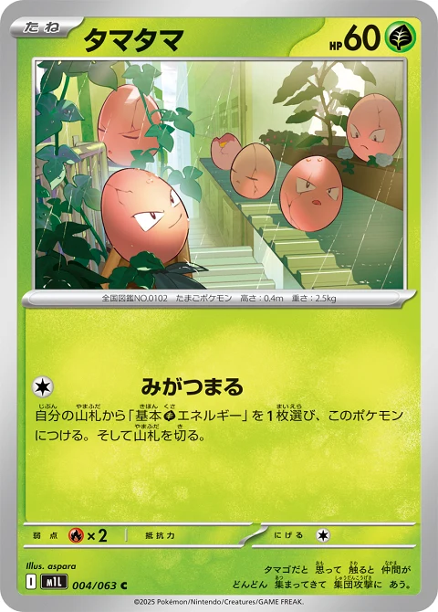 タマタマ