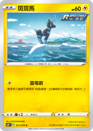 斑斑馬