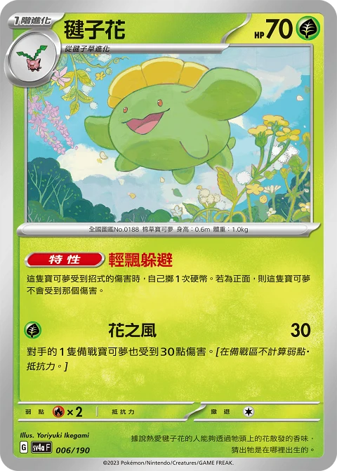 毽子花