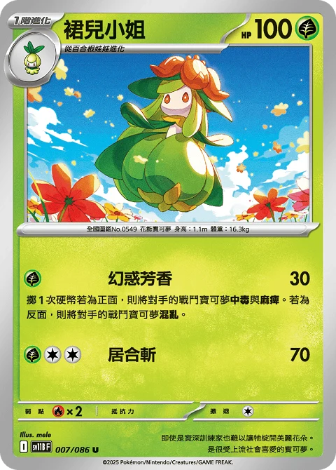 裙兒小姐