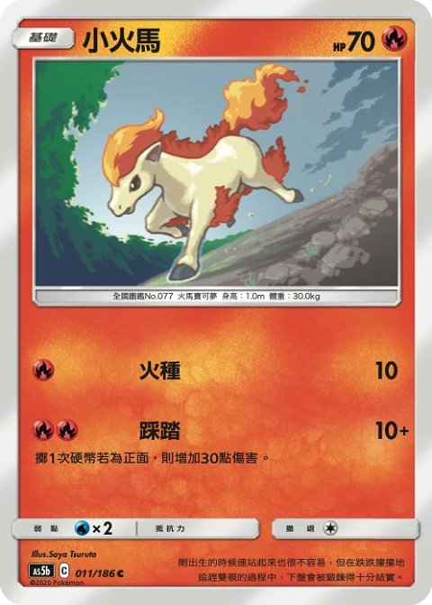 小火馬