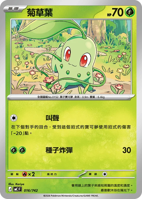 菊草葉