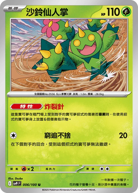 沙鈴仙人掌