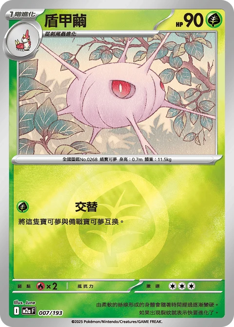 盾甲繭