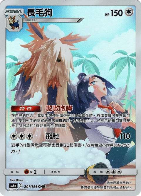 長毛狗
