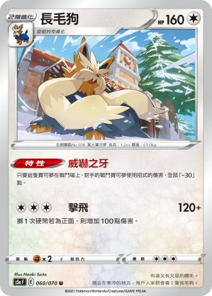 長毛狗