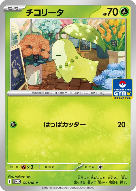 チコリータ