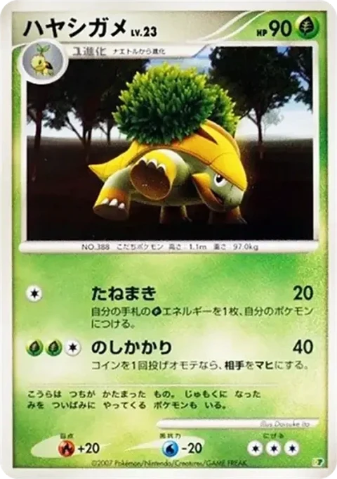 ハヤシガメ