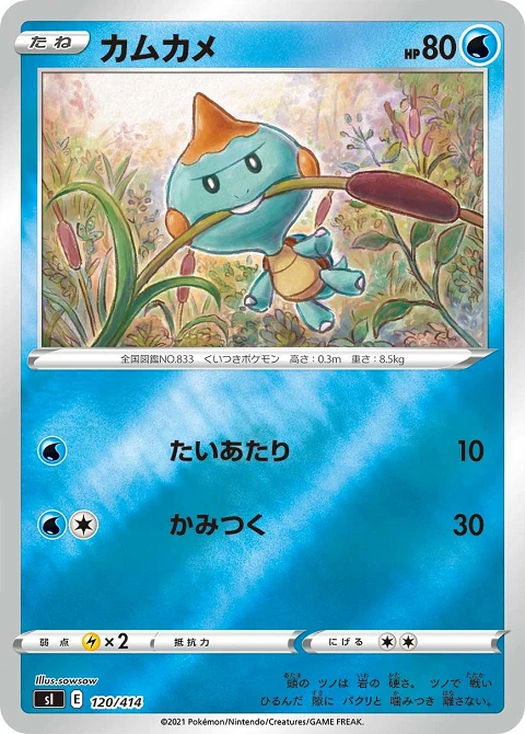 カムカメ