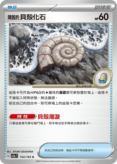 陳舊的貝殼化石