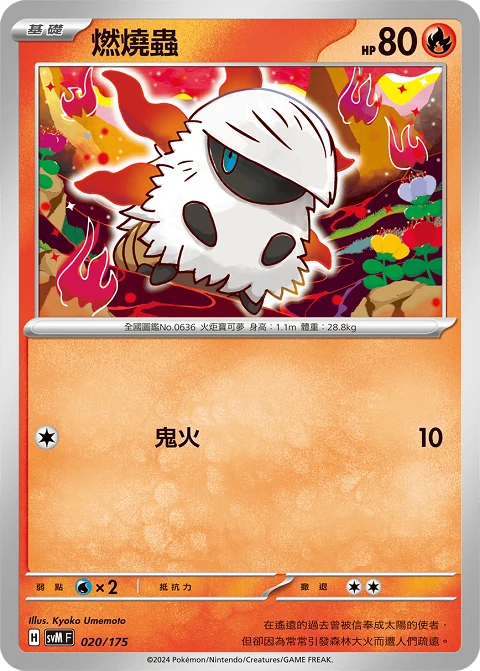燃燒蟲