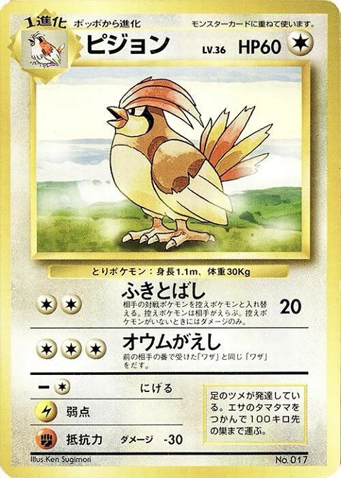 ピジョン