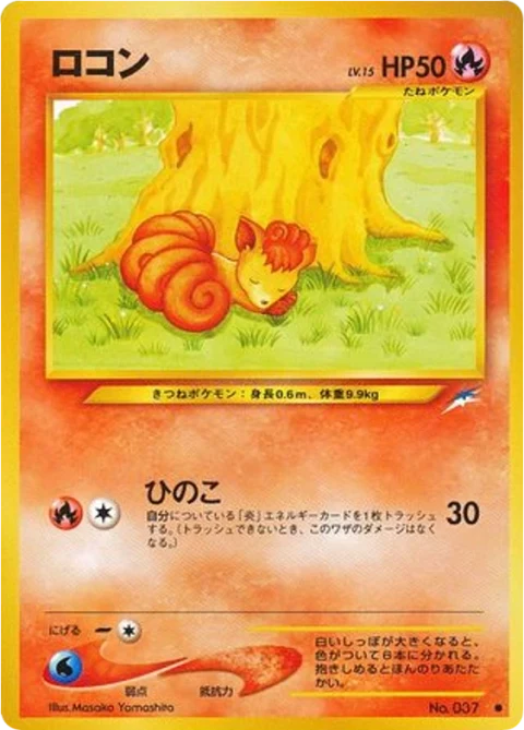ロコン