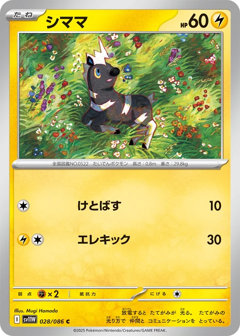 シママ