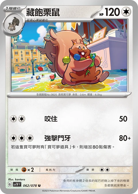 藏飽栗鼠