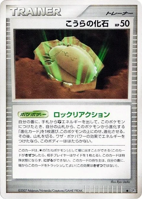 こうらの化石