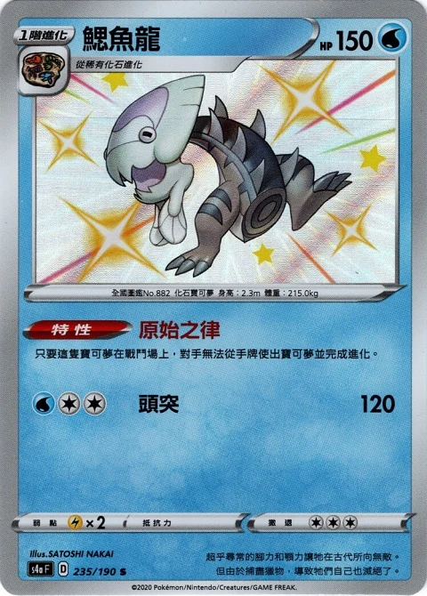 鰓魚龍