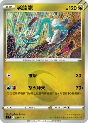 老翁龍